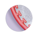 T-Loc-Triple-Tray-Premier Dental-Dental Supplies