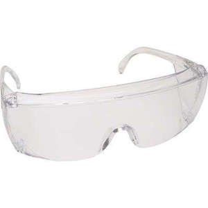 ProVision End-Fog Clear Frame Eyewear - Palmero