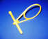 ClikGuide Universal 2/pk - ClikRay