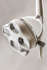 Dual Track Light System Dental Lighting System - Flight Dental Systems