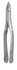 Extracting Forceps #1 Standard Incisor & Cuspid - MARK3