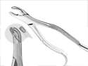 Extracting Forceps # 18R Harris Upper Right 1st & 2nd Molars - MARK3