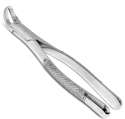 Extracting Forceps #6 Upper & Lower Splitting & Separating - MARK3