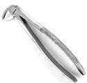 Extracting Forceps Mead MD3 Serrated English Pattern - MARK3