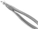 Extracting Forceps #46L Lower Roots Serrated English Pattern - MARK3